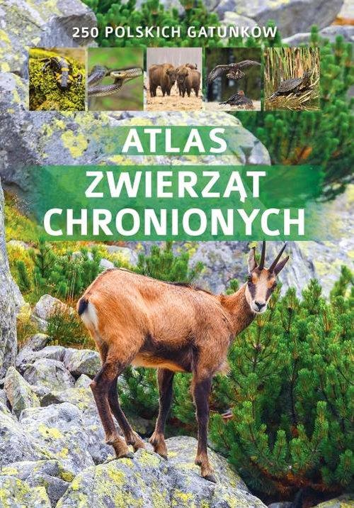 

Atlas zwierząt chronionych 250 polskich gatunków K