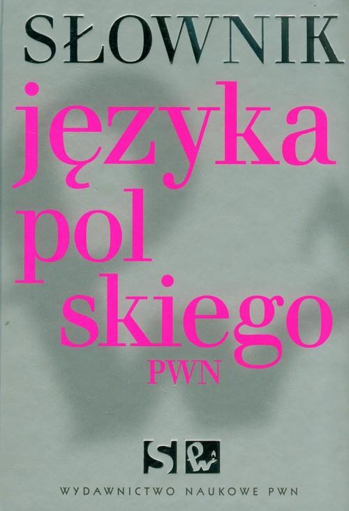 

Słownik języka polskiego Pwn Aleksandra Kubiak-Sok