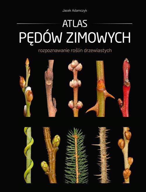 

Atlas pędów zimowych Jacek Adamczyk