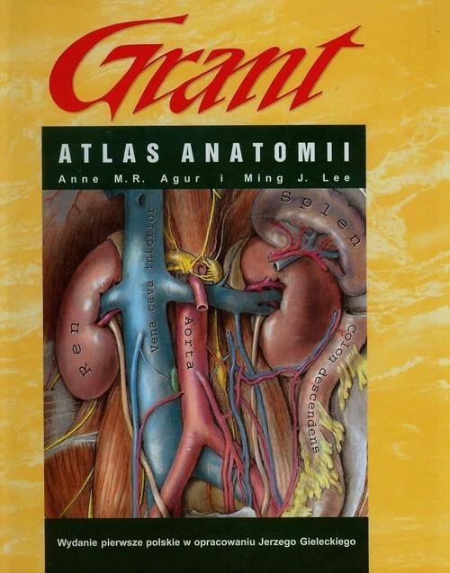 

Atlas anatomii Grant Agur Anne M.r., Lee Ming J.