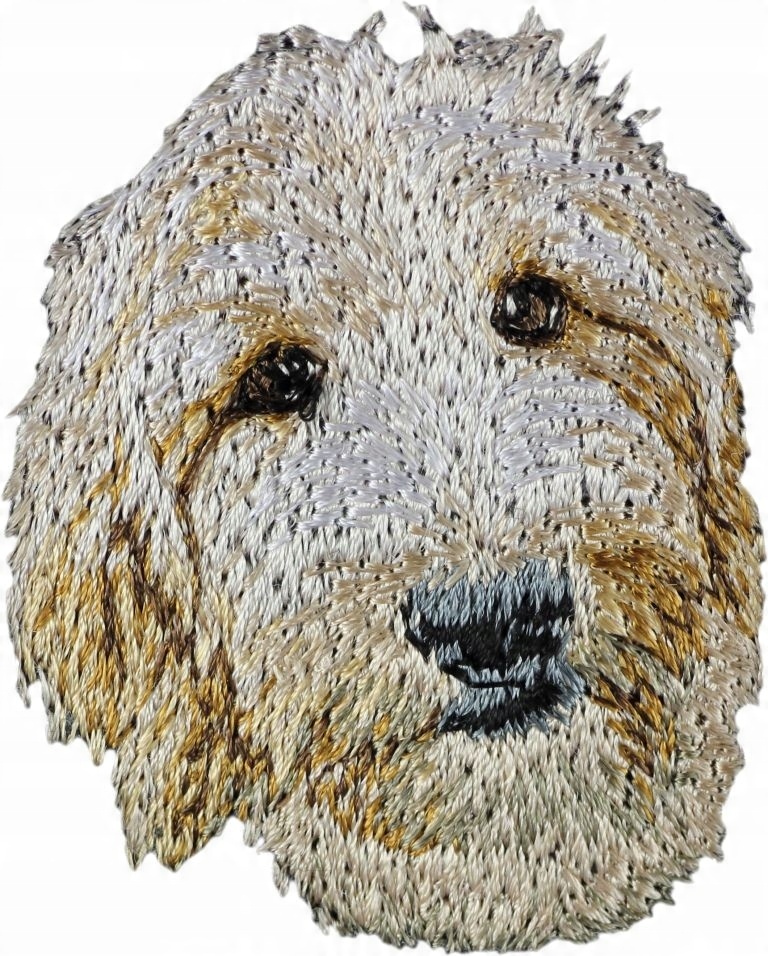 

Goldendoodle Haft Naszywka Przyszywka Łata