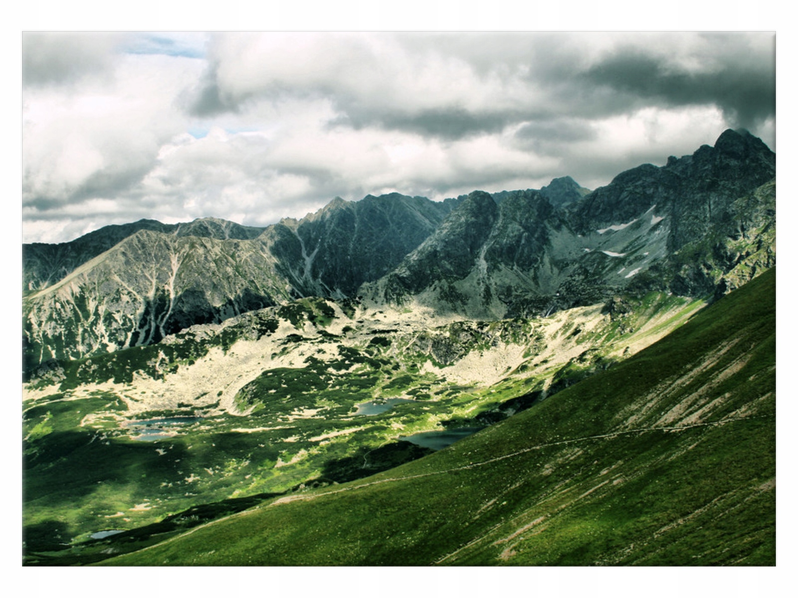 

Obraz na płótnie Pejzaż Polskie Tatry 70x50 Drzewo