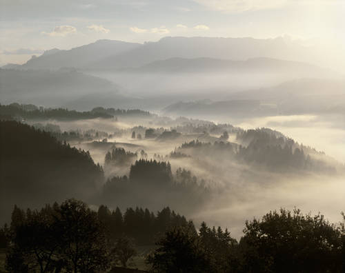 SCYZORYK VICTORINOX FIELDMASTER 1.4713 CeDe 91MM, 15 funkcji Marka Victorinox