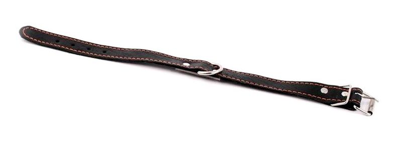 

Obroża Dla Psa Zwierzaka Skórzana 2.5 x 45 cm