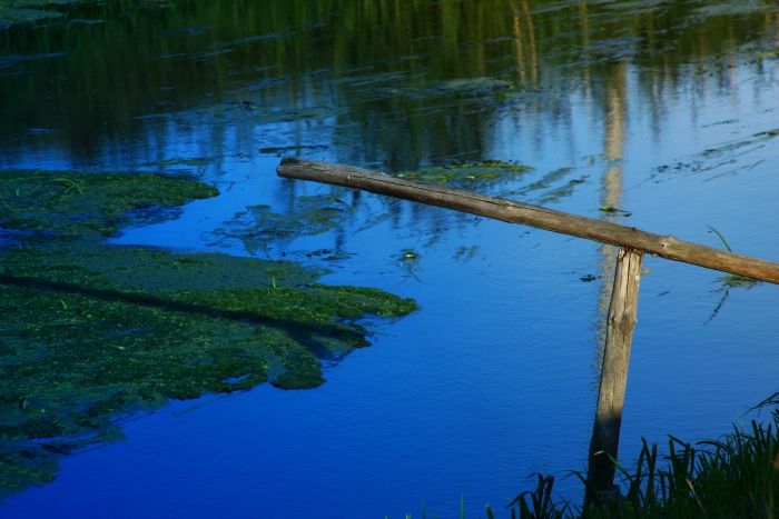 Filtr NIEBIESKI POŁÓWKOWY 49mm 49 SONY NEX-3 NEX-5 Model 1935