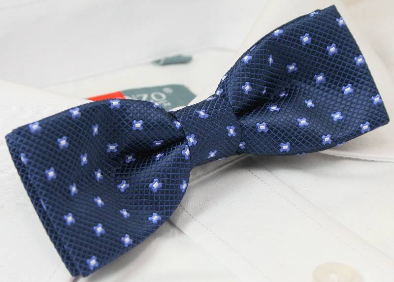 Elegancka mucha z poszetką Alties Marka inna