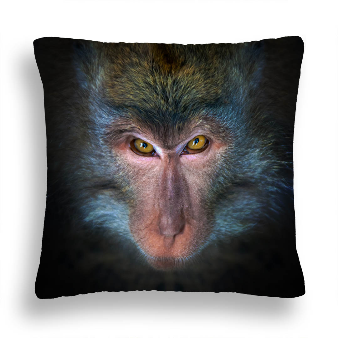 PODUSZKA ZW 20 SZYMPANS PRZENIKLIWE SPOJRZENIE PL