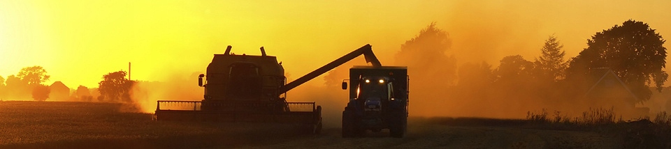 Lanc84018672 - ОРИГИНАЛЬНЫЙ 84018672 NEW HOLLAND ЦЕПЬ УХА