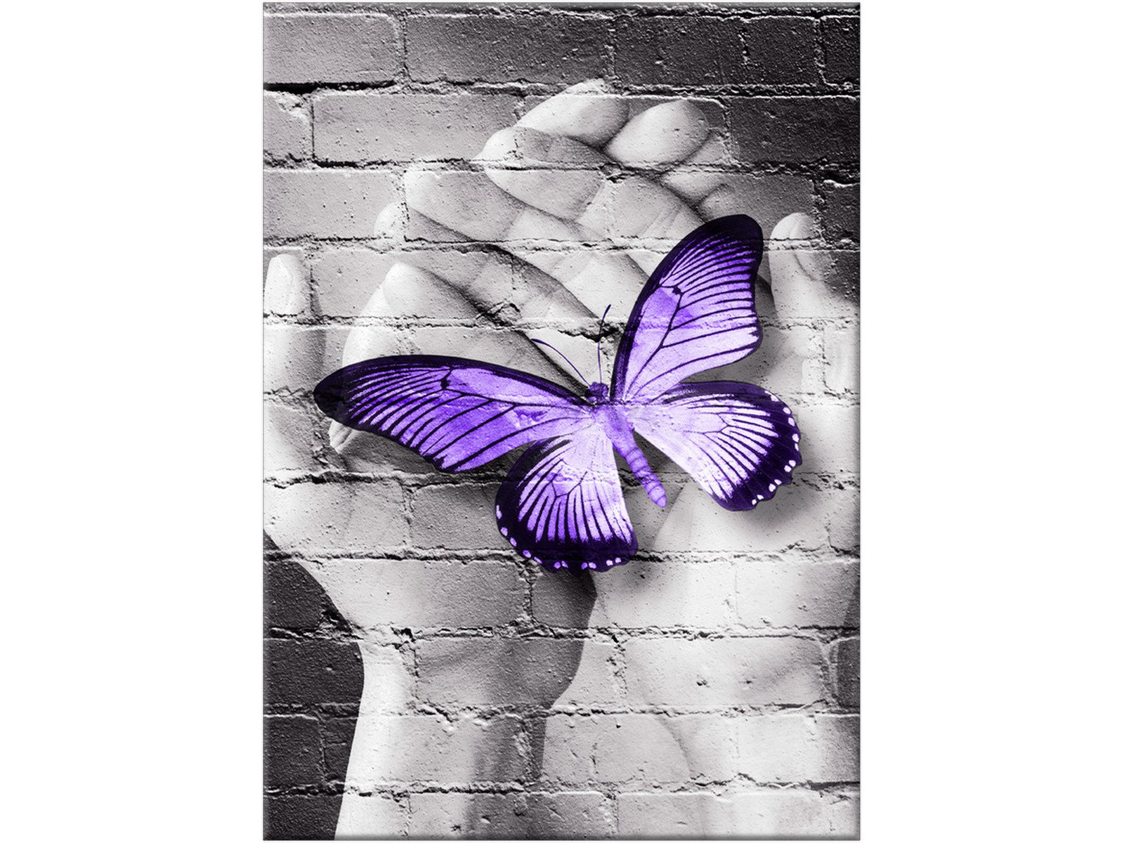 

Motyl Dłonie Nowoczesny obraz 50x70 Abstrakcja