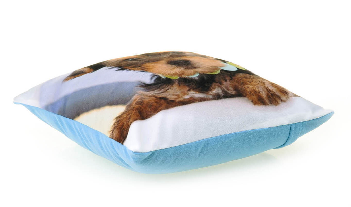 PODUSZKA PIES 11 LABRADOR POSZEWKA + WKŁAD 40X40 Marka inna