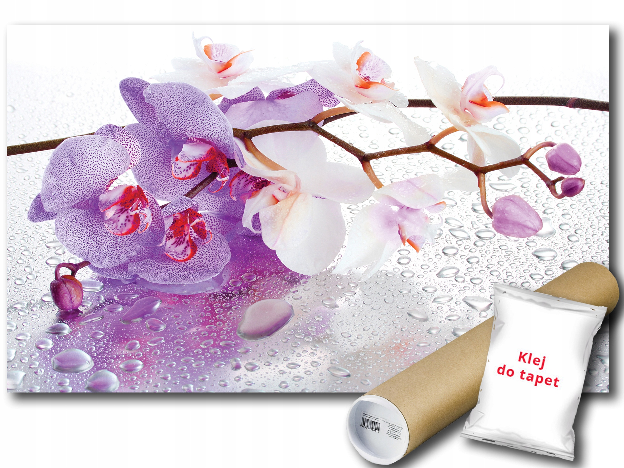 

Fototapeta Orchidea Storczyk 9D F2XL 312x219 F869