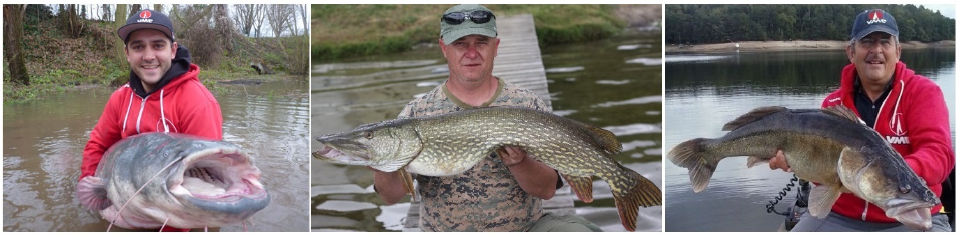 4 x MEPPS AGLIA LONG HEAVY Nr.1+ / 12 gr SILVER - GOLD - SILVER/RED - TIGER Rozmiar 1