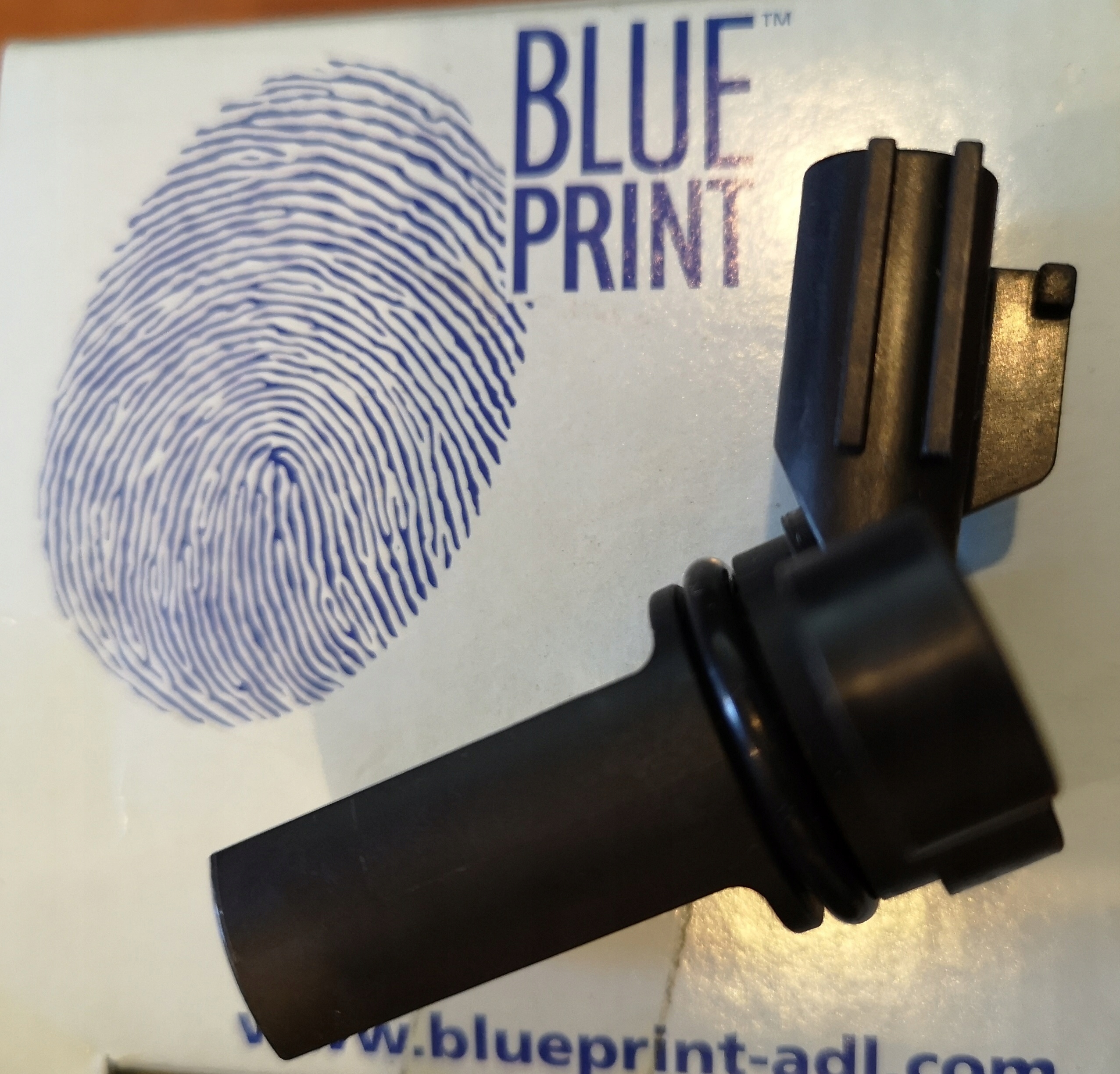 Blue Print Adn17201c