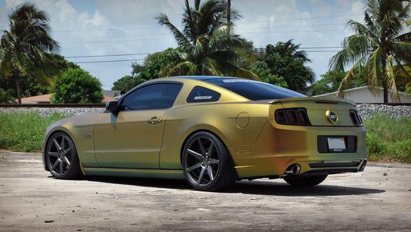 Plasti Dip PlastiDip Reptile Kameleon 1l Nowosc Packaging Puszka