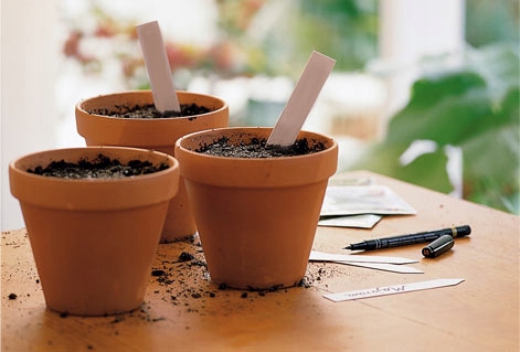 COMPO ZIEMIA PODŁOŻE DO OLIWEK OLEANDRÓW HIBISKUSA FIG LICZI HIBISKUSÓW Stan opakowania oryginalne