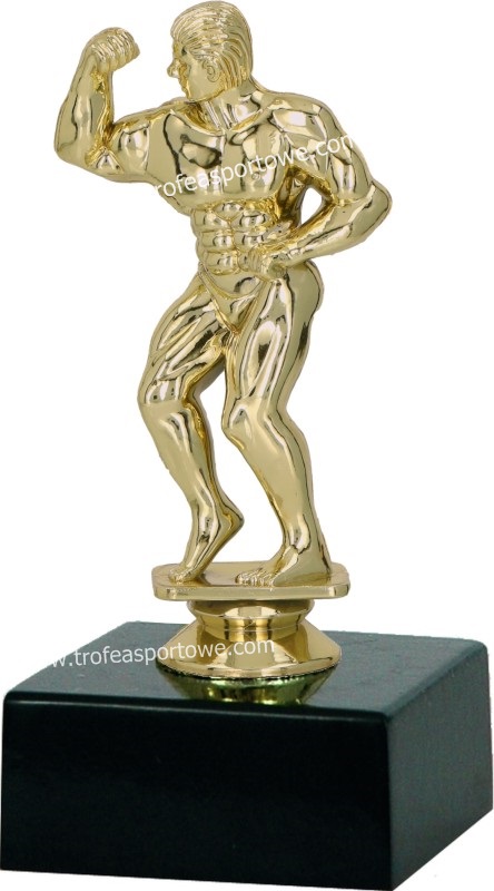 

figurka Siłacz Kulturystyka 16cm grawerka