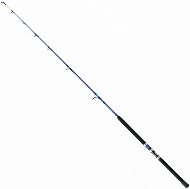 Wędka Robinson Sea Fox Spin 2,10 50-250g 11S-SF-022