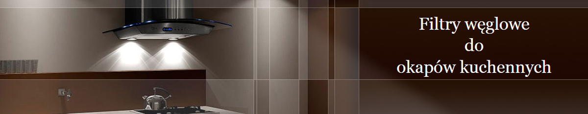 Filtr węglowy do okapu Finlux FE-60USAB 2 szt Rodzaj węglowy