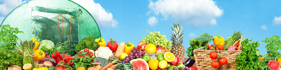 TUNEL FOLIOWY FOLIAK SZKLARNIA NA POMIDORY 2x3 Kod producenta 2x3