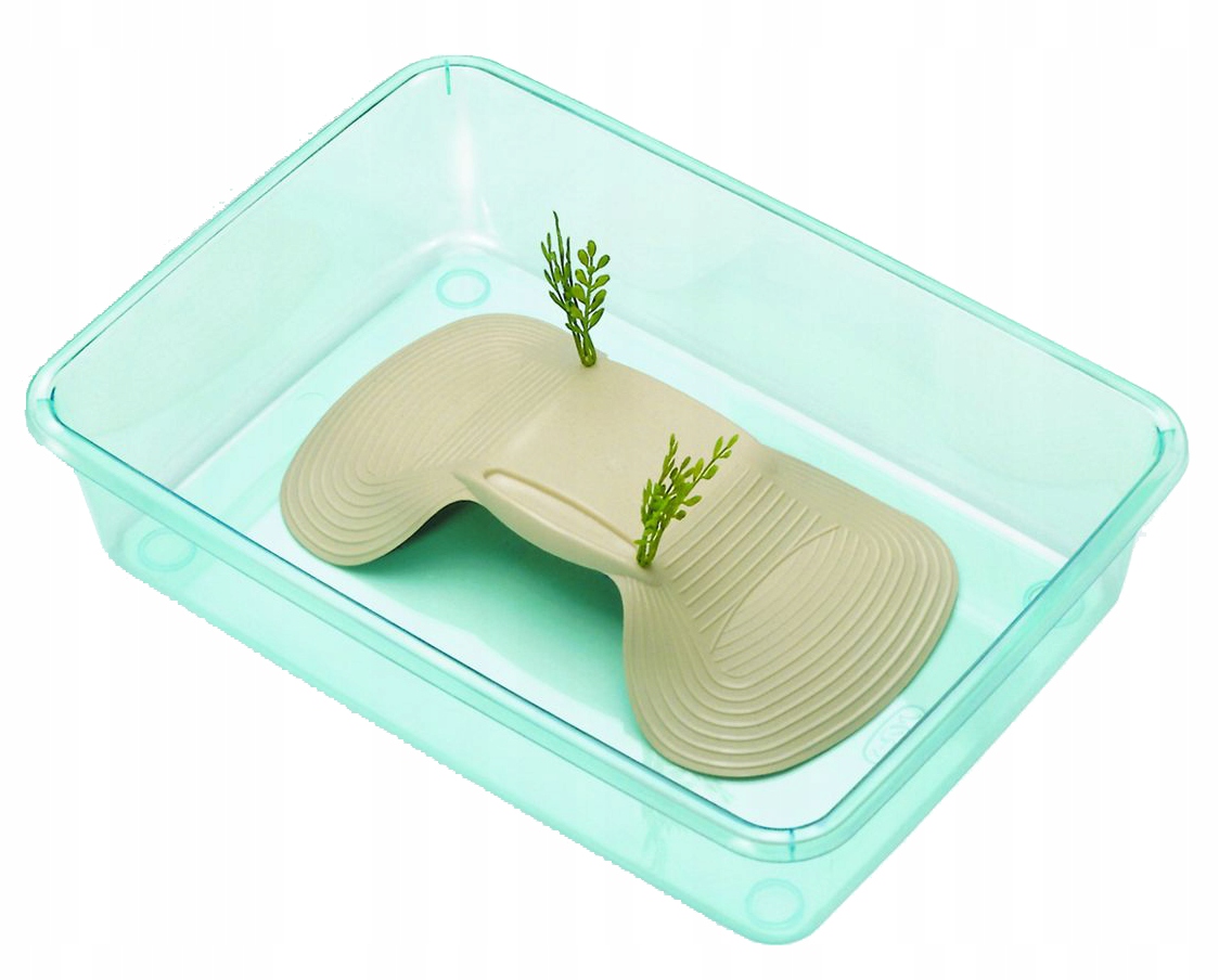 

terrarium basenik dla żółwia wodnego z wyspą 42cm