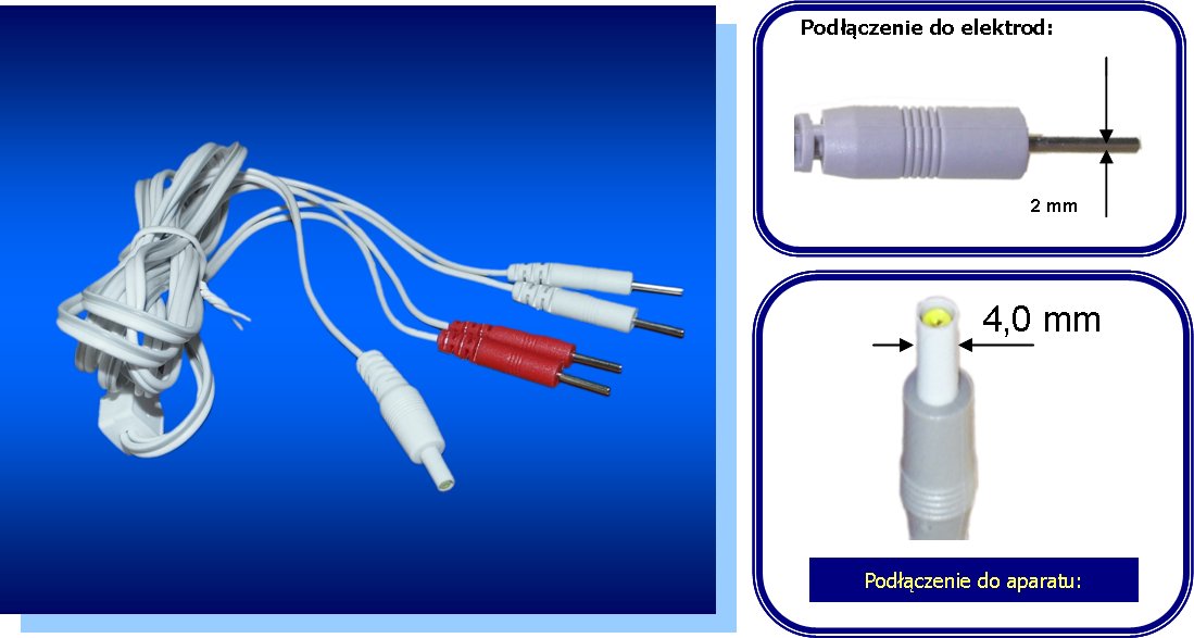 PRZEWODY: 4 mm na 4 x PIN (2 mm) Producent DigNet