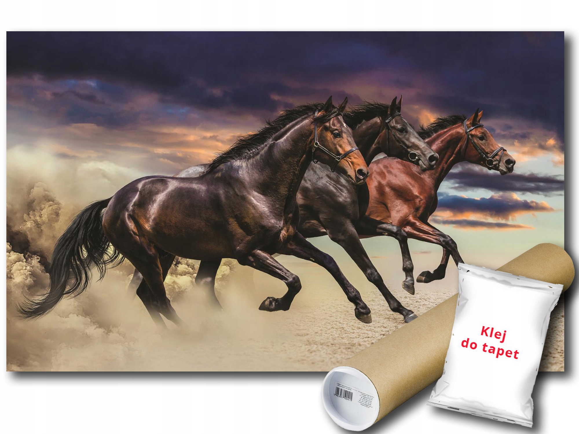 

Fototapeta Konie Galop 12B F3XL 416x254 F1217