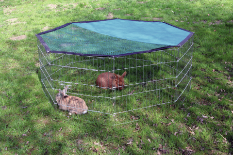 EAN (GTIN) 4018653827086