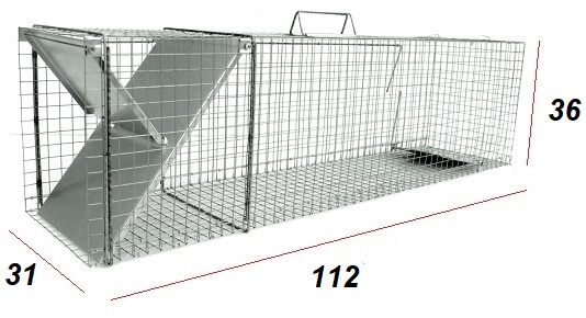 

Pułapka Żywołapka Na Lisy Kuny 112x31x36 Gratisy