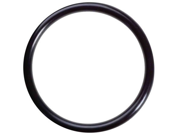 USZCZELKA O-RING DISA DO BMW M52 M52TU M54 2.2 2.5 Producent części Ertons