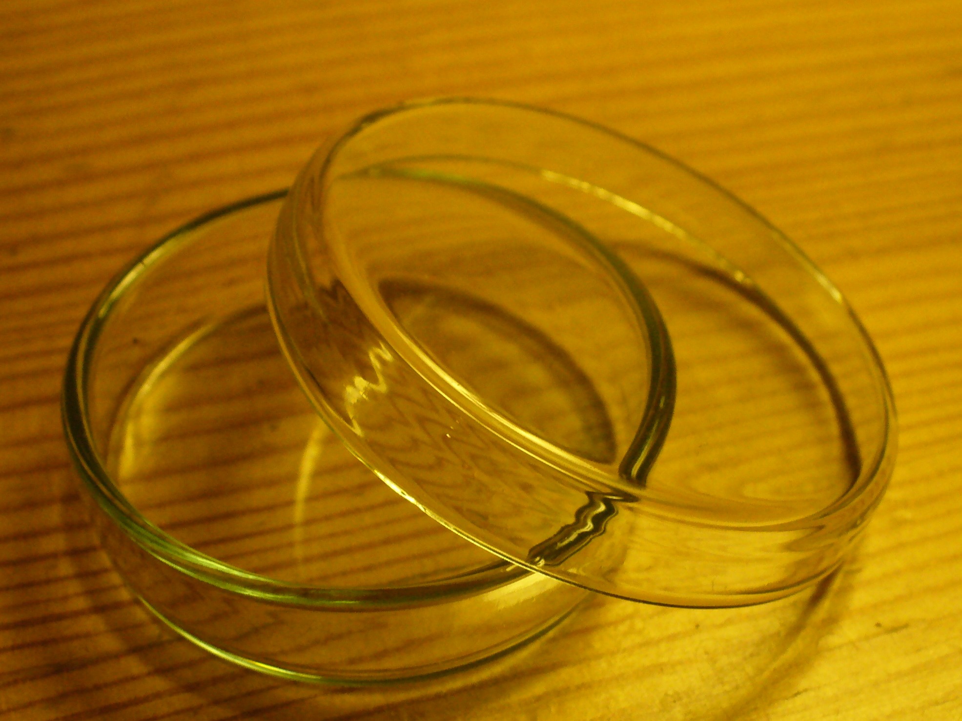 Стекло 90 мм. Чашки Петри (стеклянная). Чашка Петри 100 мм стекло. Чашка Петри пластиковая 40 мм. Чашки Петри стекло 40 мм.