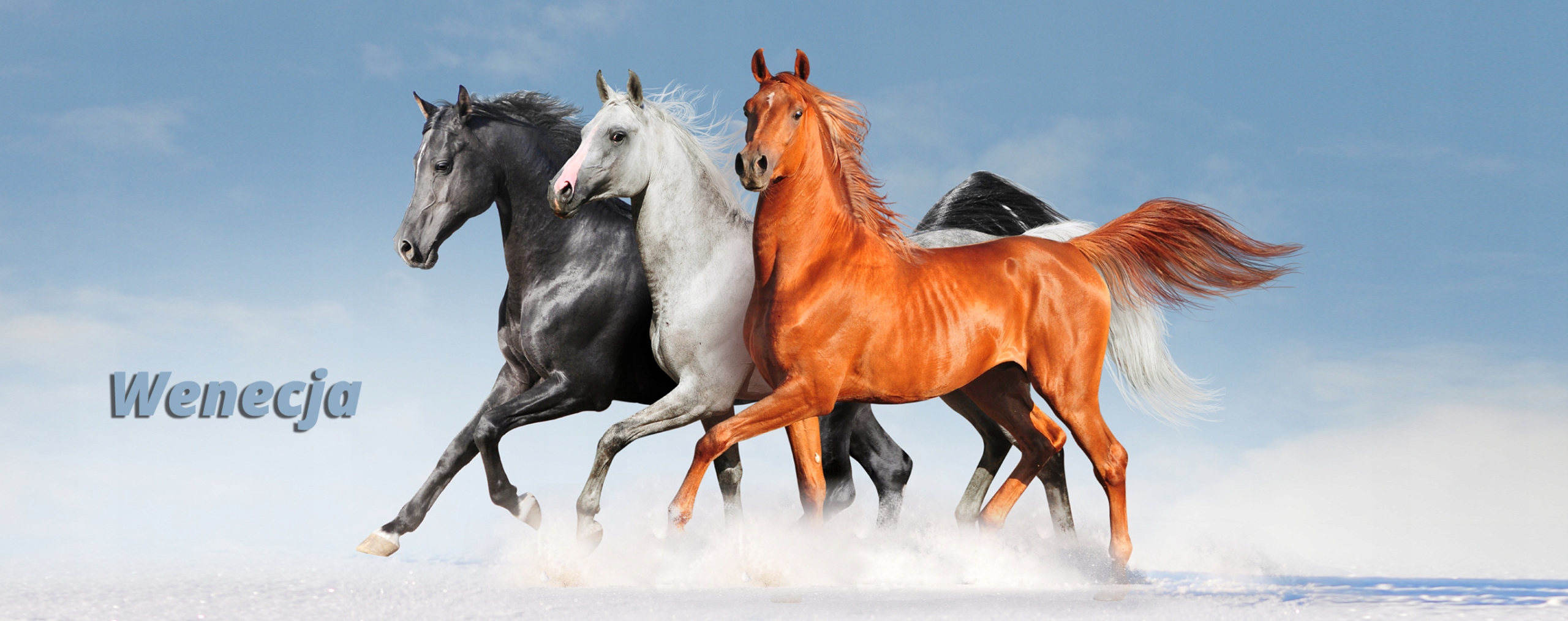 TORBA KLAPKA DUZA A4 ANIME 5 DZIEWCZYNKA NADRUK Płeć uniseks