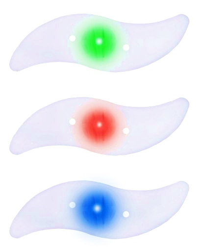 ŚWIECĄCE SZPRYCHY nakładka LED lampka ROWER Multikolor Kod producenta 4029811367887