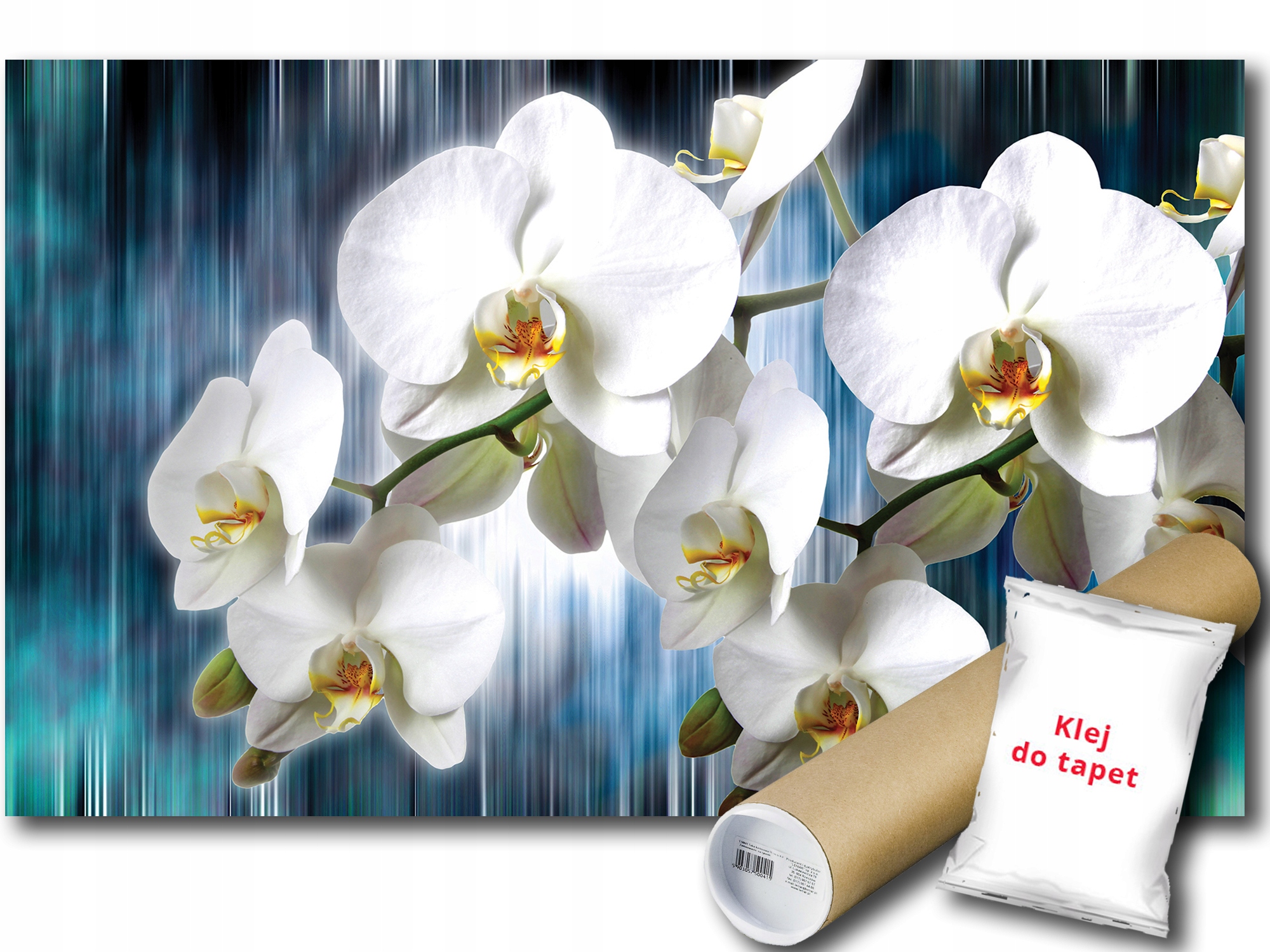 Fototapeta Bílé Orchideje 9D F2XL 312x219 F1668