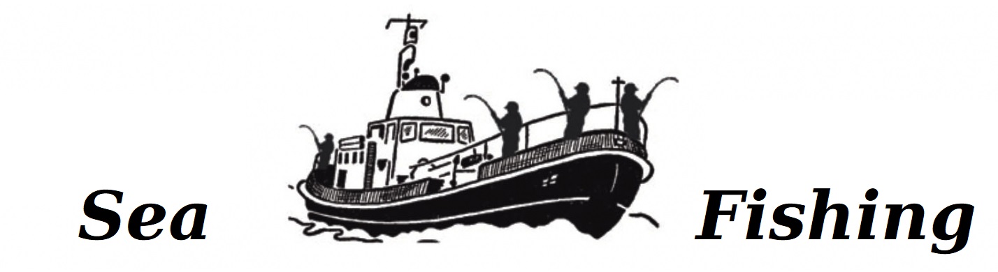 SMOCZA ŁZA NA DORSZE BEZ PILKERA CIĘŻAREK 175 gr Model ŁEZKA