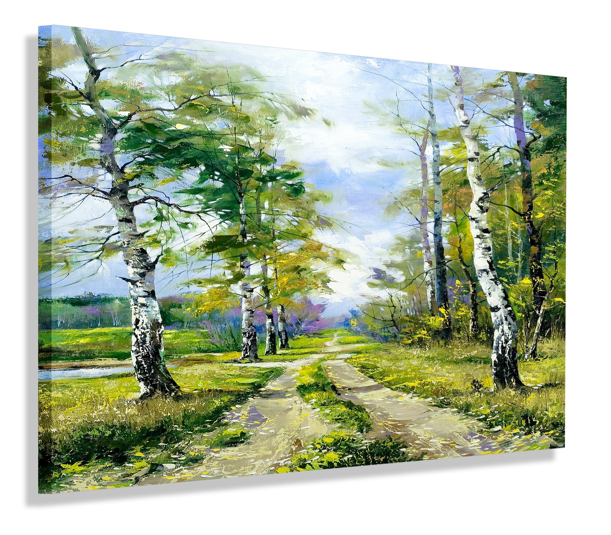 

Obraz Las Droga Brzozy Obrazy Canvas 40x30