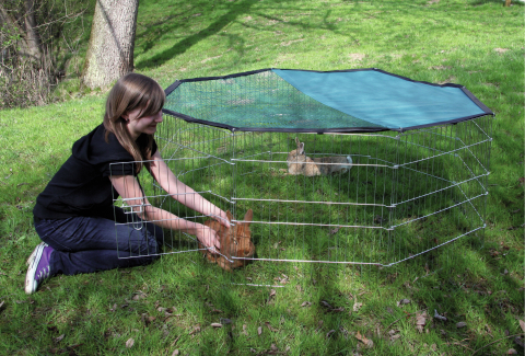 Бренд Кербл