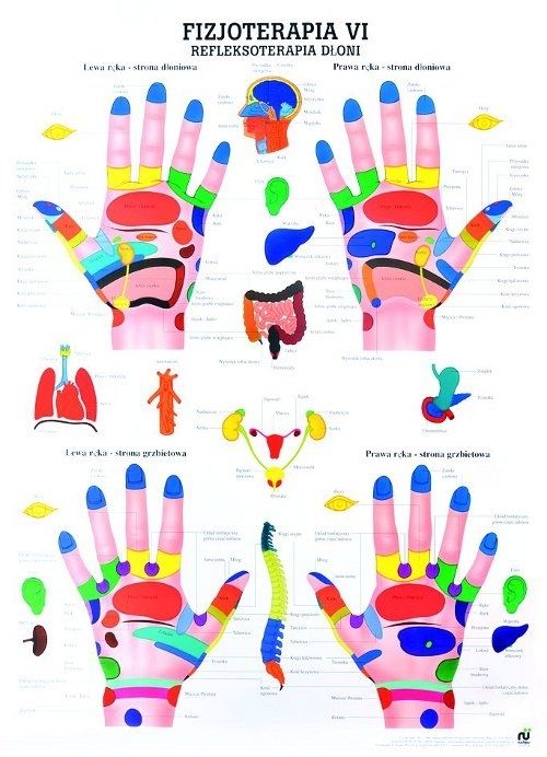 

Tablica medyczna - Refleksoterapia Dłoni - LurguS