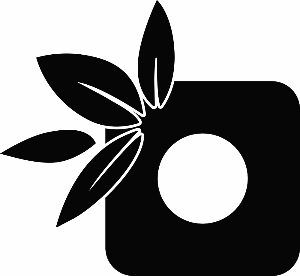 

Naklejka pod Włącznik kontakt Kwiatek liście
