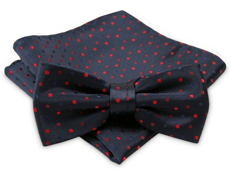 Elegancka mucha z poszetką - ALTIES