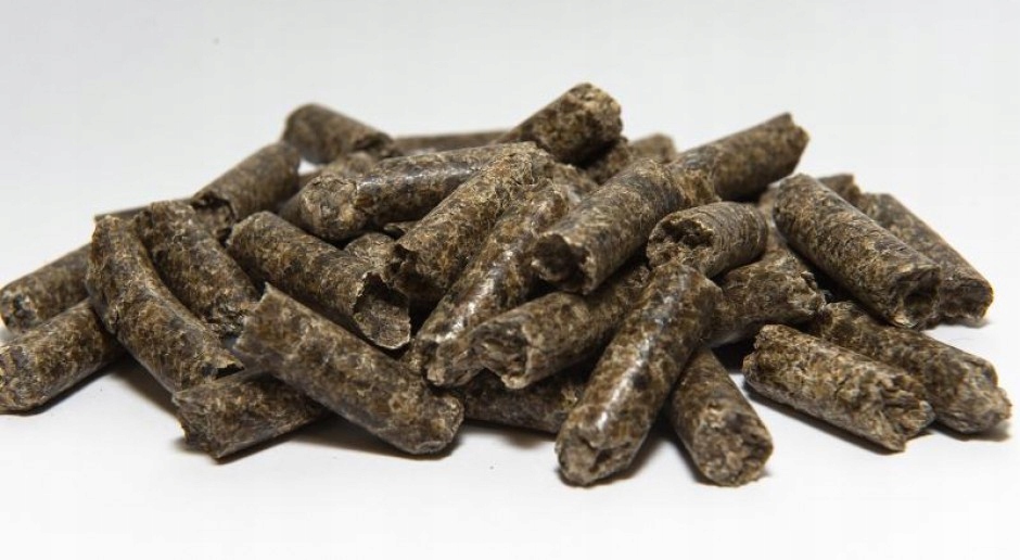 Жом гранулированный. Свекловичный жмых анилин. Шрот подсолнечный тостированный. Жом жмых. Шрот рапсовый тостированный.