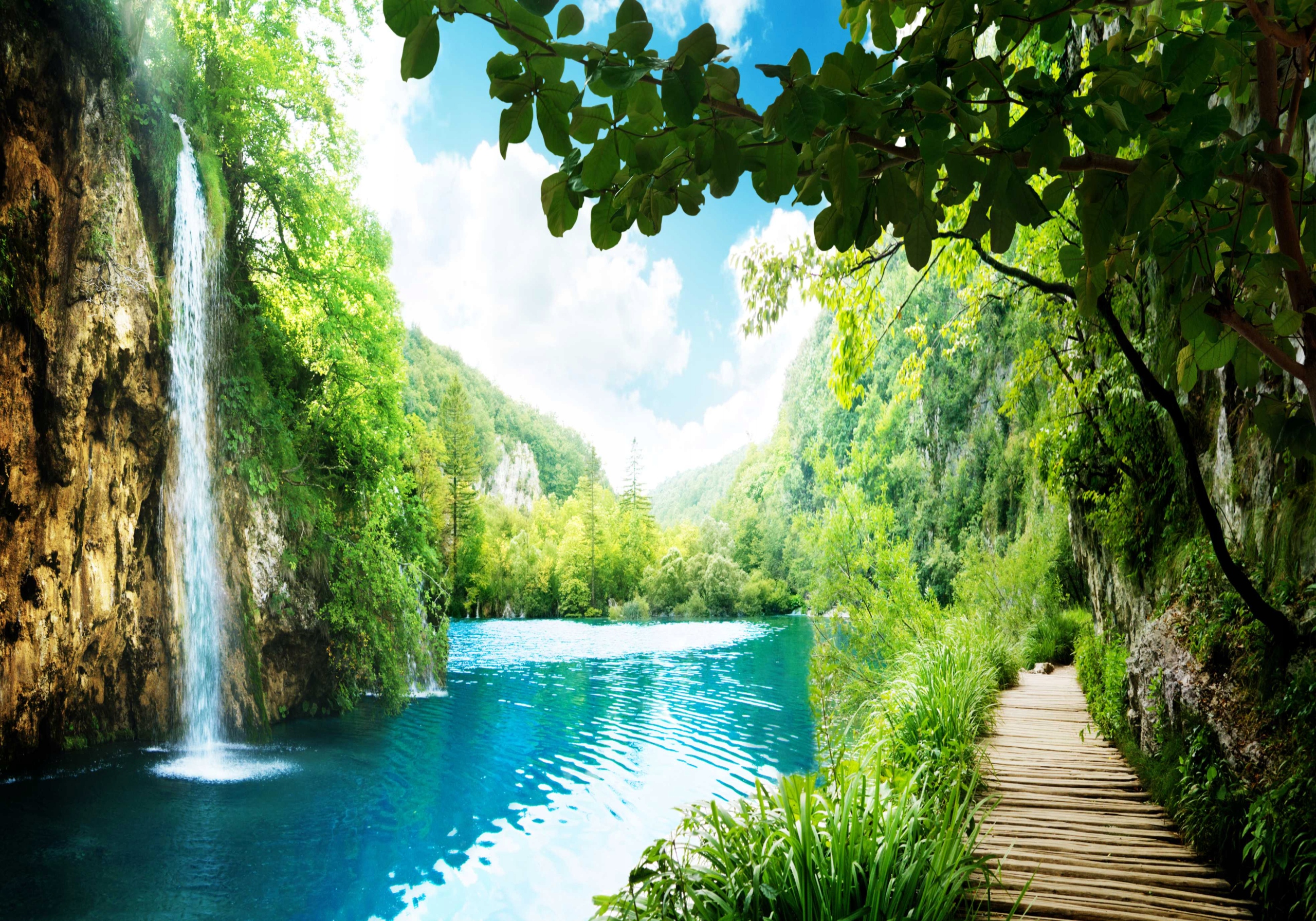 

Plakat poster Las Drzewa mostek 100x70 maxwyb