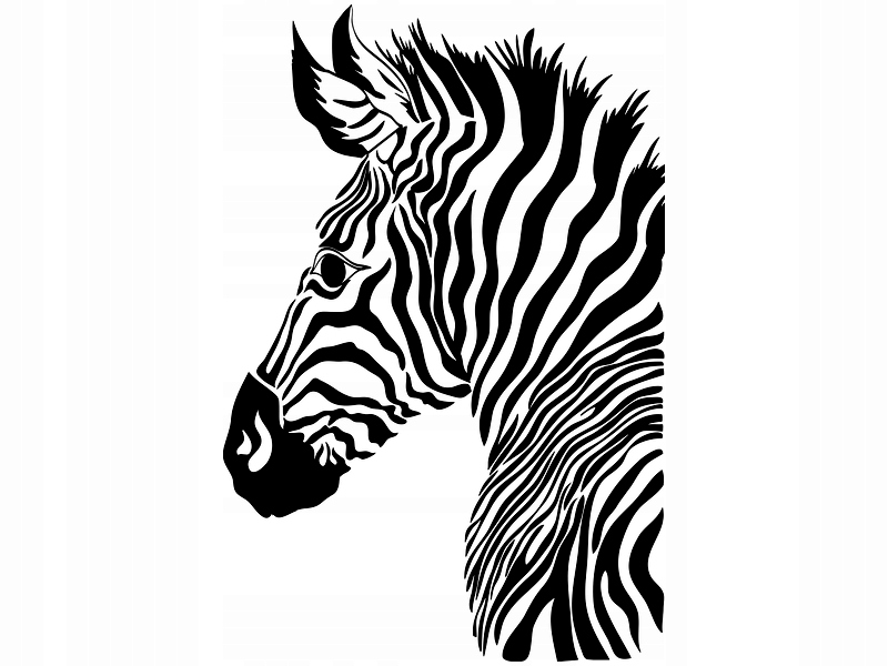 

Naklejka dekoracyjna na ścianę Zebra 147 cm