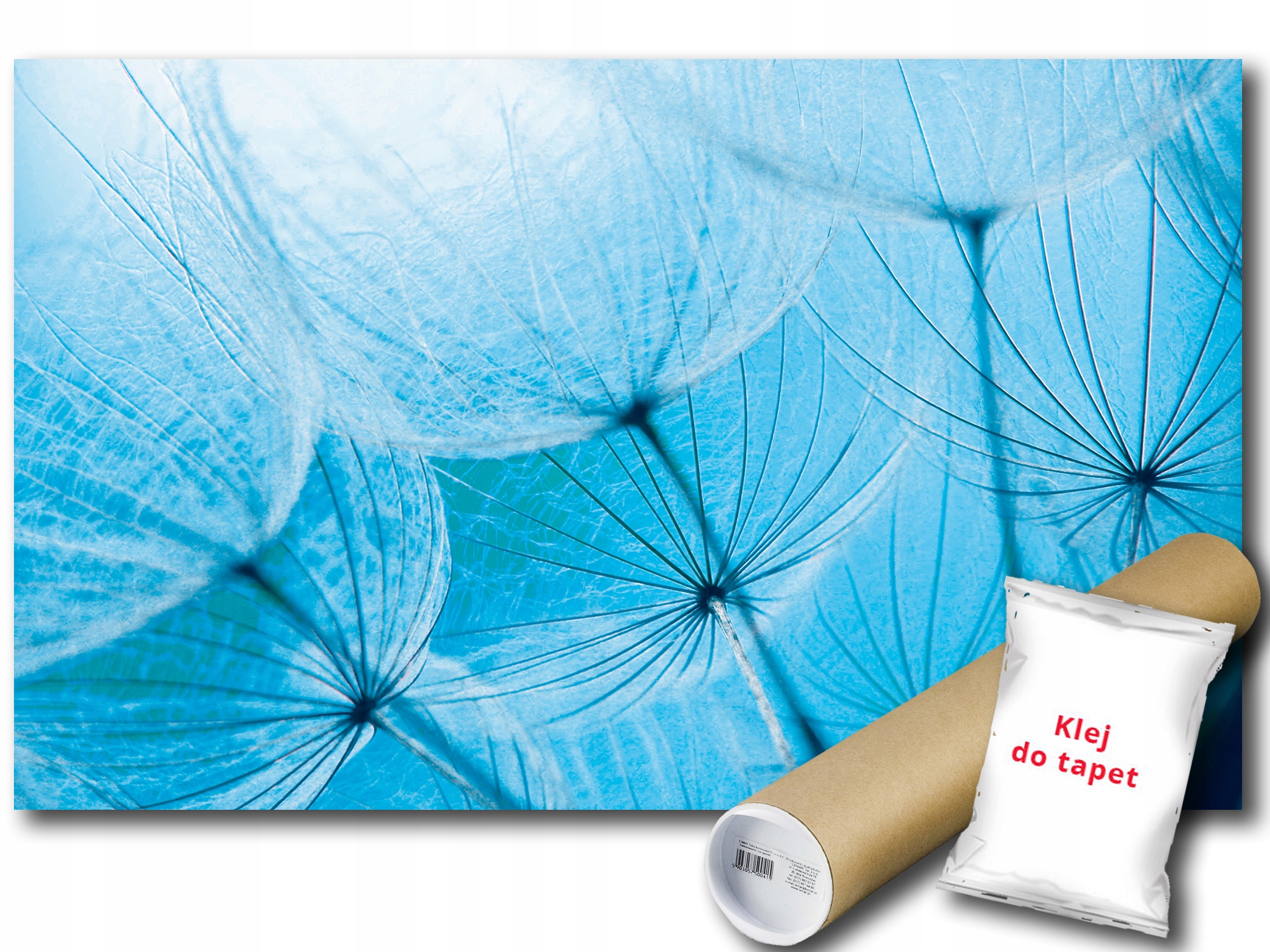 Fototapeta Dmychadla Pampeliška 9A Fxl 208x146 F586