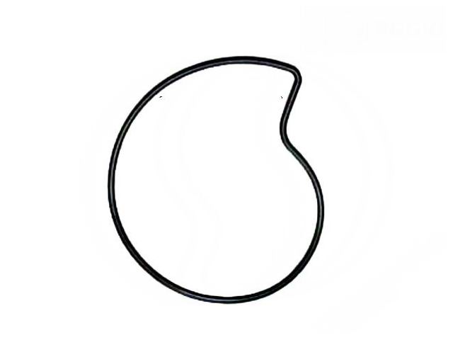 Uszczelka O-ring Oring Pokrywy Pompy Wody Aprilia Piaggio MP3 Vespa 125-300