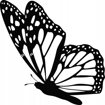 

Naklejka na ścianę z motylem Motyl 30 cm