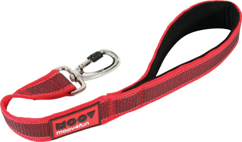 

Zolux Smycz Moov Dla Psa Parciana 40mm x 50cm