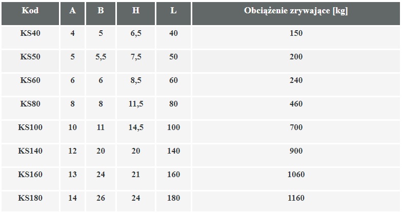 KARABIŃCZYK KARABINEK Z BLOKADĄ STRAŻACKI 4x40mm Długość 40 mm
