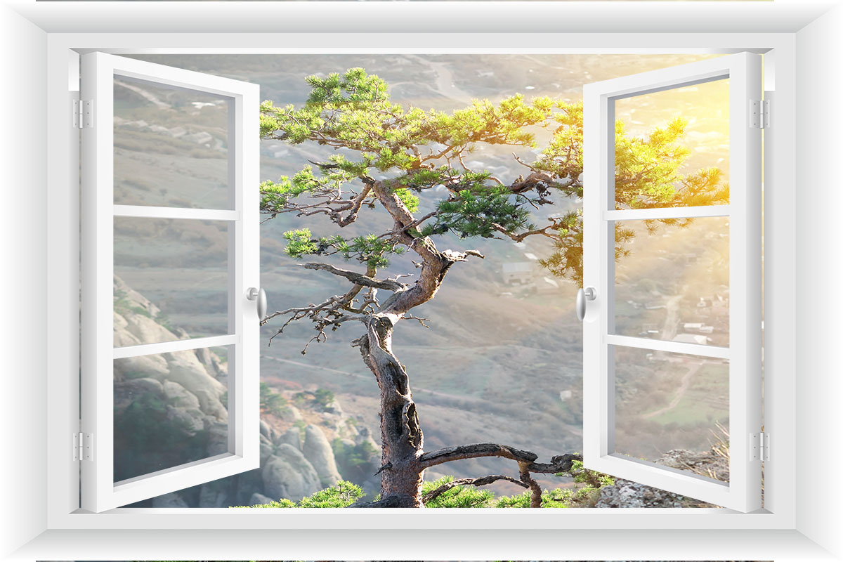 

Fototapeta Okno 3D Drzewa Góry Krajobraz 150x100