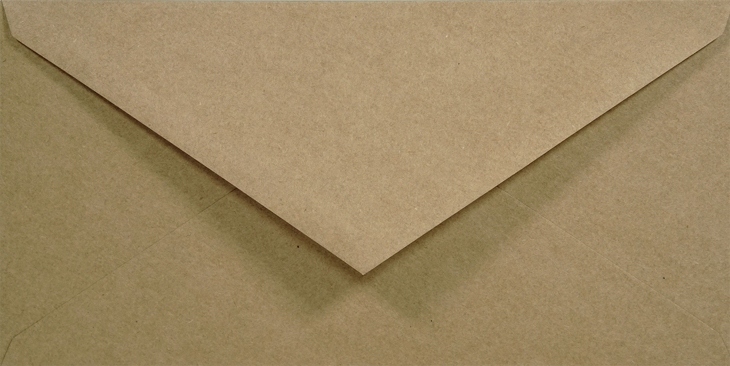 

Koperta ekologiczna DL 11x22 100g Eko trójkąt 5szt