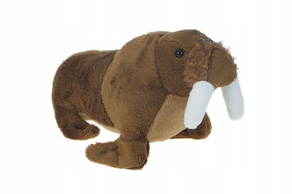 

Zoo: maskotka Mors arktyczny 20cm 65579